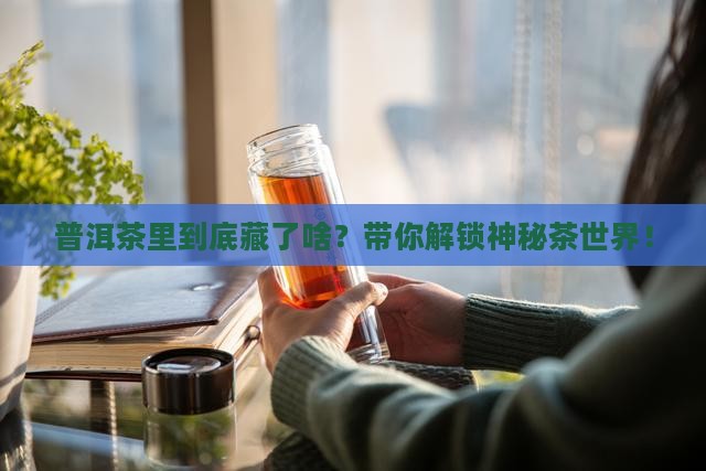 普洱茶结构说明
