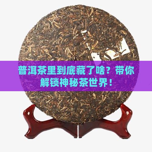 普洱茶结构说明