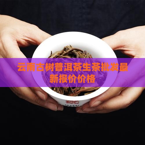 云南古树普洱茶鲜叶价格