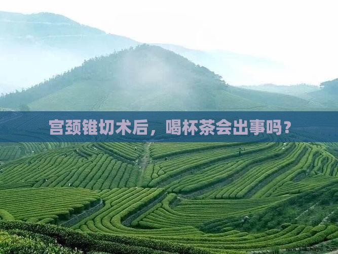 宫颈锥切术后可以喝茶吗 宫颈锥切术后可以喝茶吗