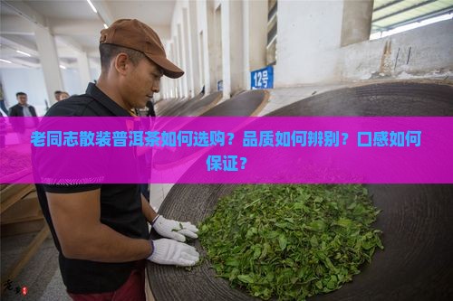 老同志散装普洱茶 老同志散装普洱茶
