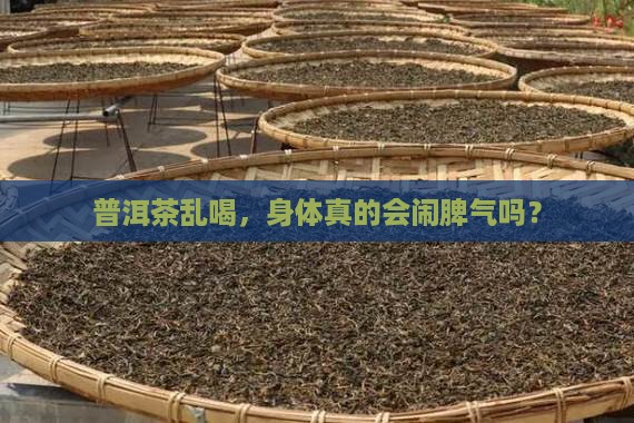 乱喝普洱茶有什么坏处