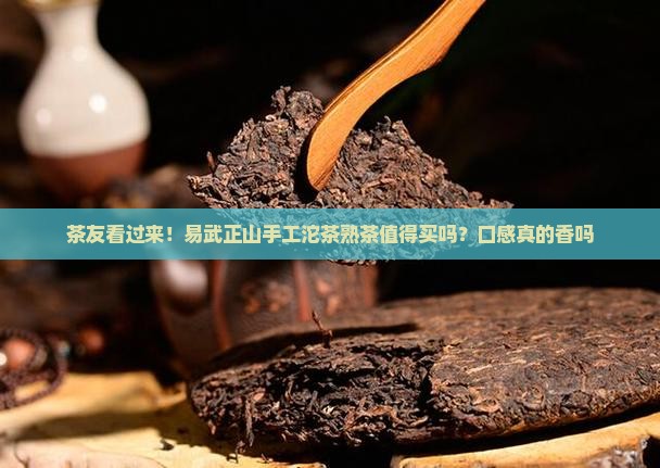 易武正山手工沱茶熟茶 易武正山手工沱茶熟茶