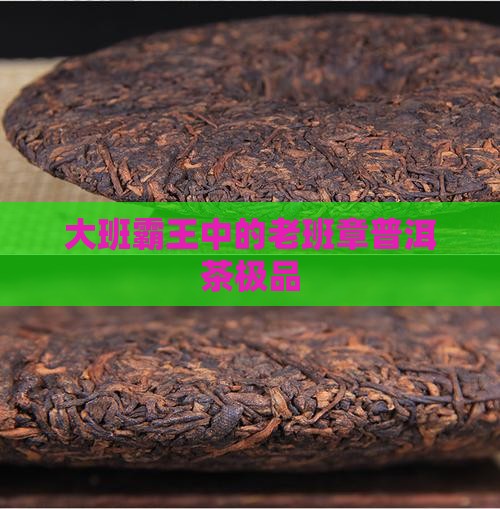 大班章普洱茶极品