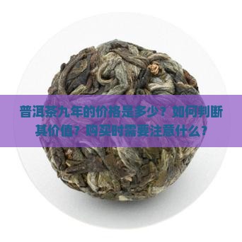 普洱茶九年的价格是多少