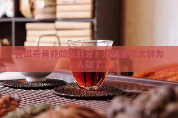 普洱茶如何防止鱼虫蛀牙