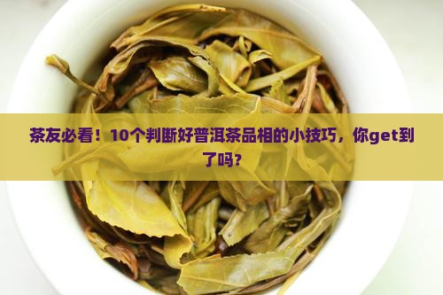 好普洱茶的品相