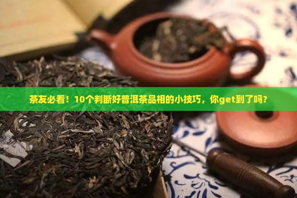 好普洱茶的品相