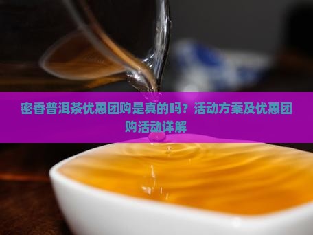 密香普洱茶优惠团购