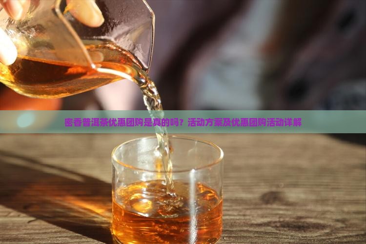 密香普洱茶优惠团购