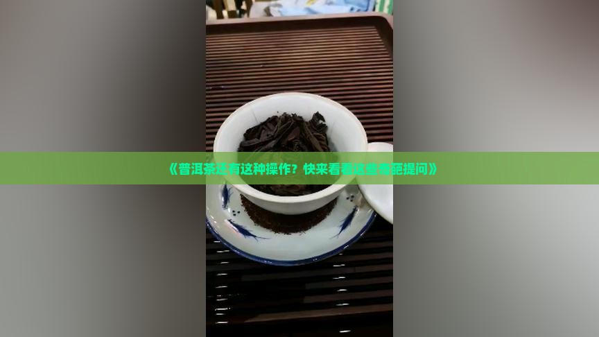 普洱茶的奇葩提问