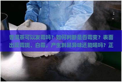 普洱茶可以发霉吗