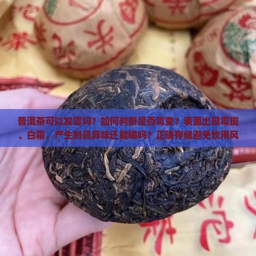 普洱茶可以发霉吗