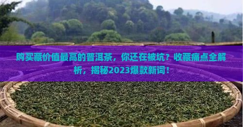 购买藏价值最高的普洱茶