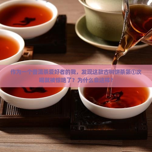 古树饼茶普洱茶生茶