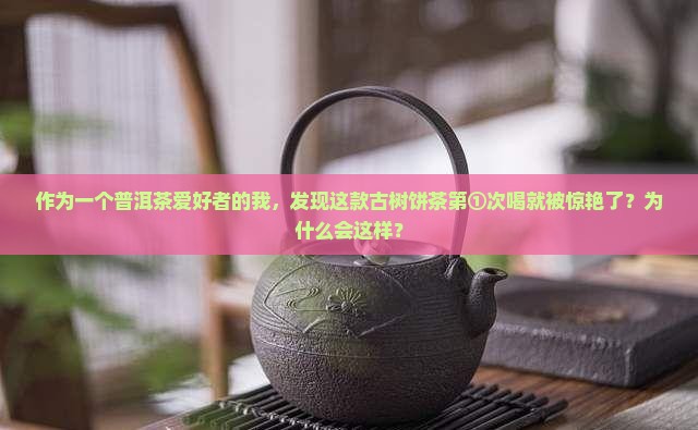 古树饼茶普洱茶生茶