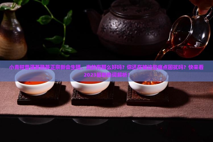 小青柑普洱茶熟茶正宗新会生晒