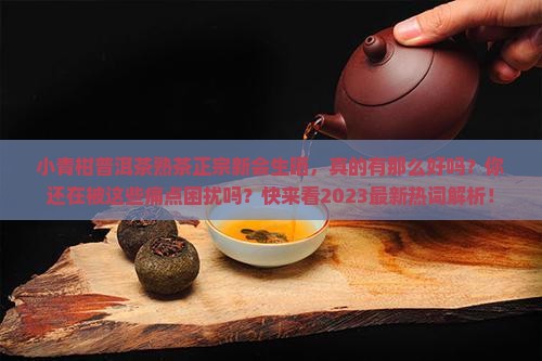 小青柑普洱茶熟茶正宗新会生晒