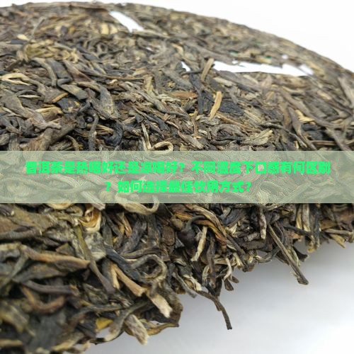 普洱茶热喝喝凉喝