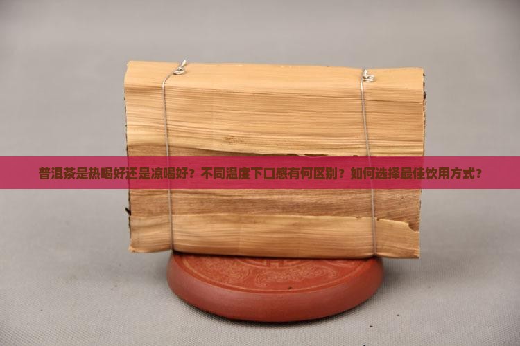 普洱茶热喝喝凉喝