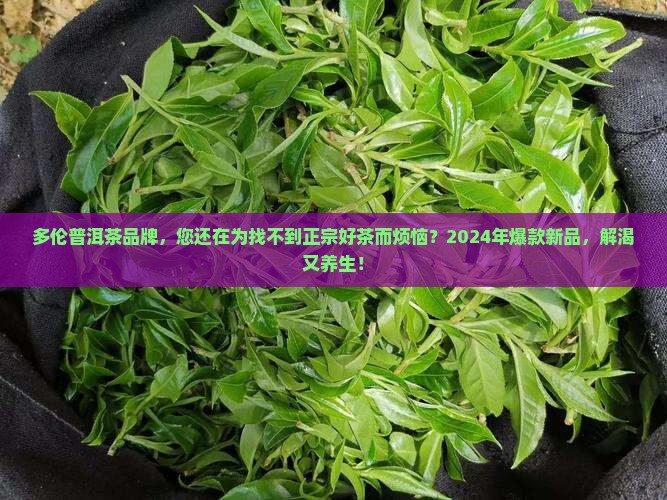 多伦普洱茶品牌