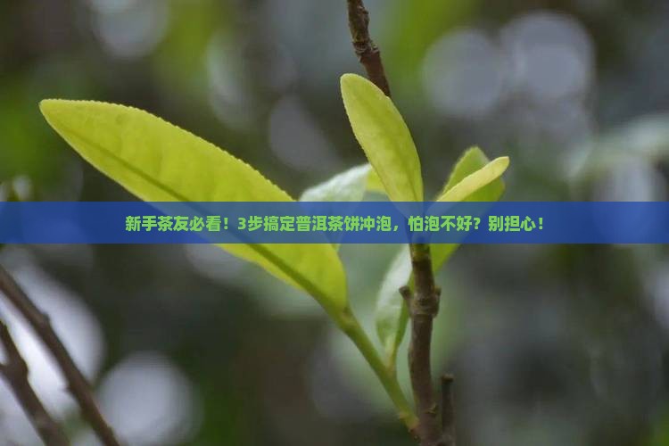普洱茶饼要怎么冲泡