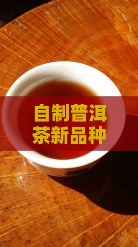 自制普洱茶新品种