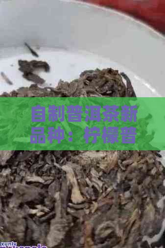 自制普洱茶新品种