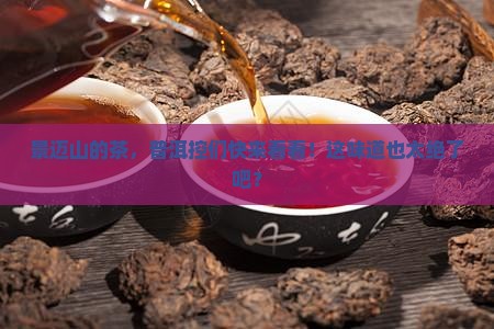 景迈山茶普洱茶 景迈山茶普洱茶