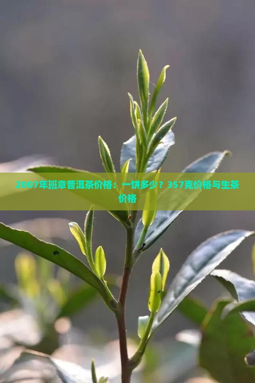 2007年班章普洱茶