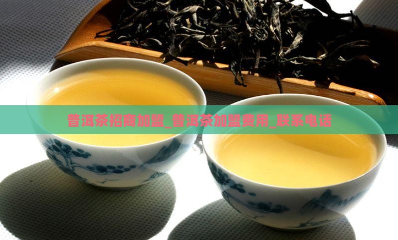 有品质的熟普洱茶总部招商