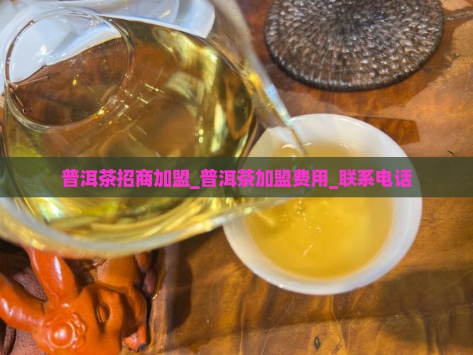 有品质的熟普洱茶总部招商