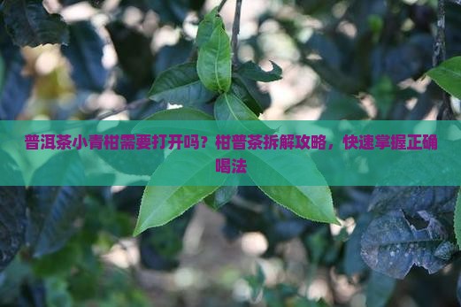 普洱茶小青柑需要打开吗