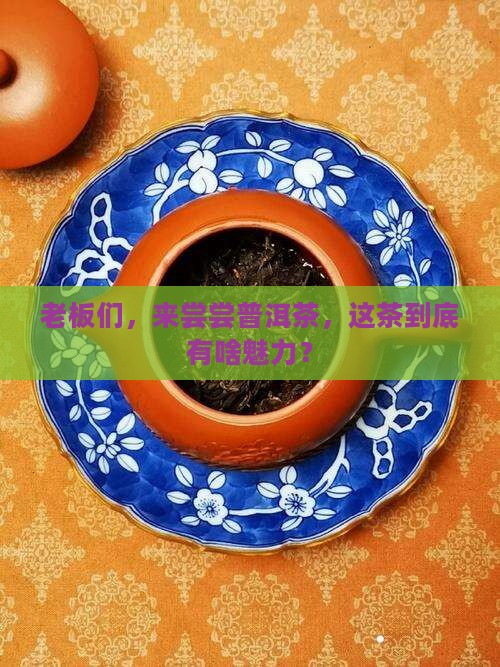 欢迎老板们前来体验普洱茶