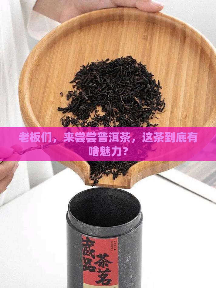 欢迎老板们前来体验普洱茶
