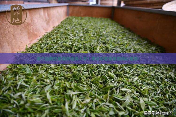 普洱茶啥品牌好