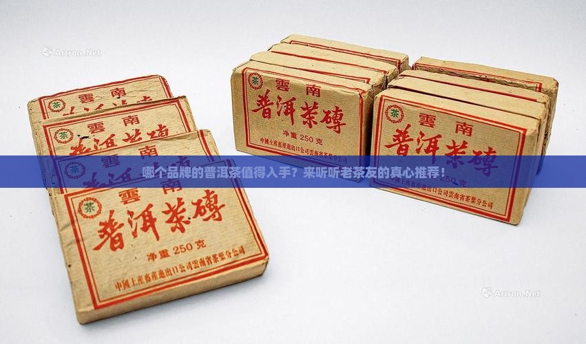 普洱茶啥品牌好