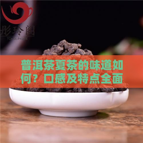 普洱茶夏茶的味道 普洱茶夏茶的味道