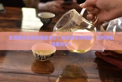 普洱茶头春茶价格