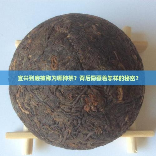 宜兴被称为什么茶