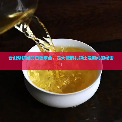 普洱茶饼里面有一层白色
