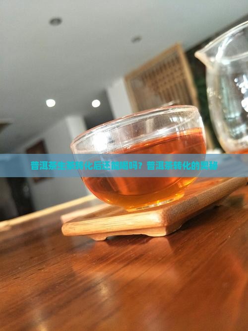 普洱茶生茶转化后还能喝吗