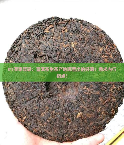 普洱茶生茶产地