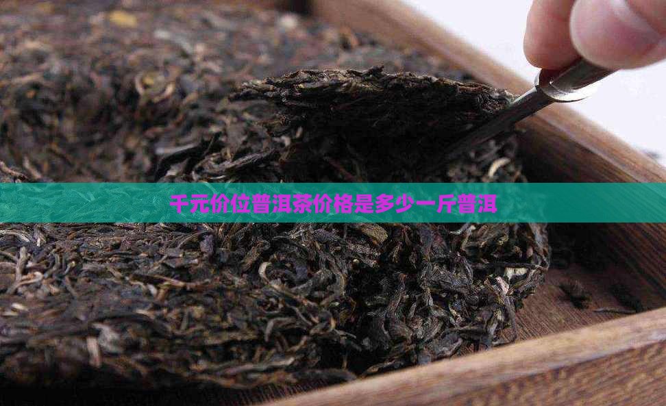 千元价位普洱茶价格是多少
