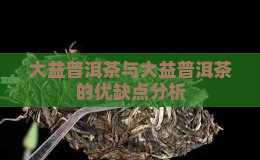 大益普洱茶不好在哪里