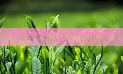 纪念版普洱茶外观
