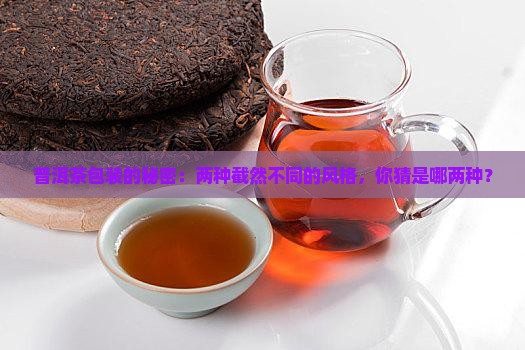 普洱茶包装有两种包装