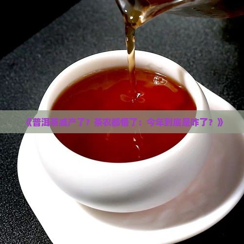 普洱茶为什么突然减产
