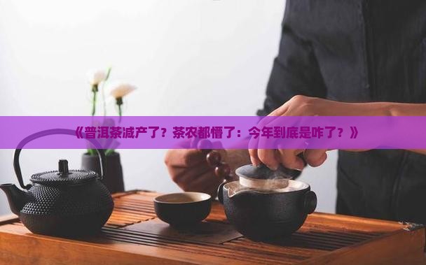 普洱茶为什么突然减产
