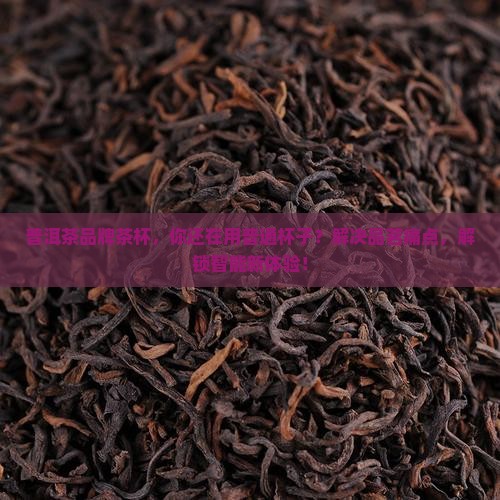 普洱茶品牌茶杯